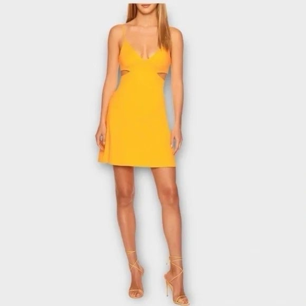 Susana Monaco Cutout Fit & Flare String Mini Dress In Zinnia Medium NEW $178